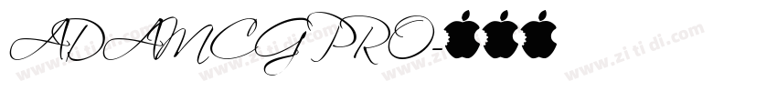ADAMCG PRO字体转换